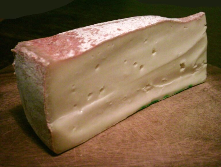 Casu marzu