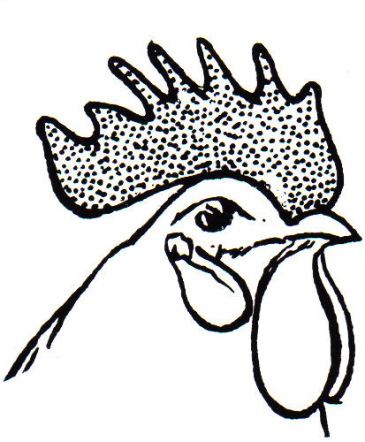 Cibreo