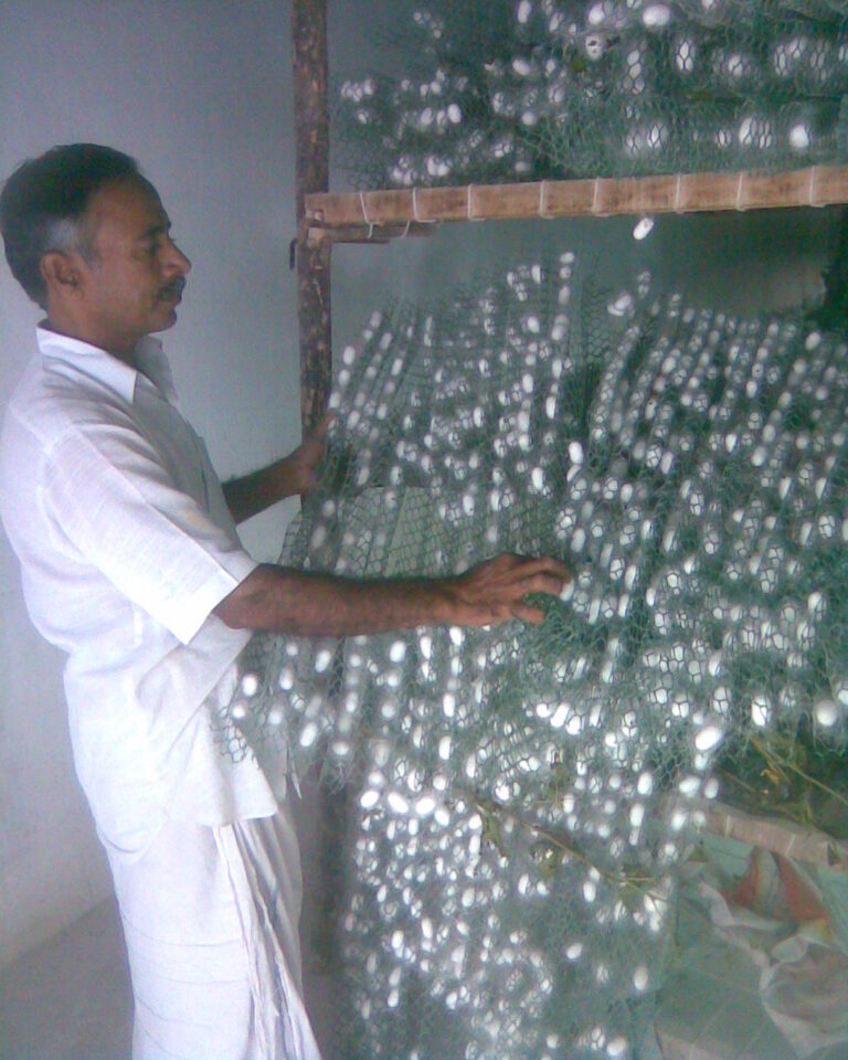 Beondegi