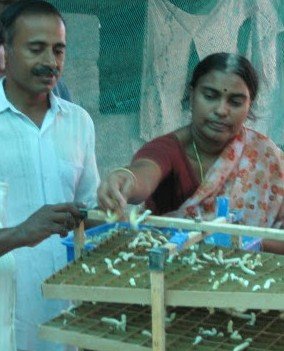 Beondegi